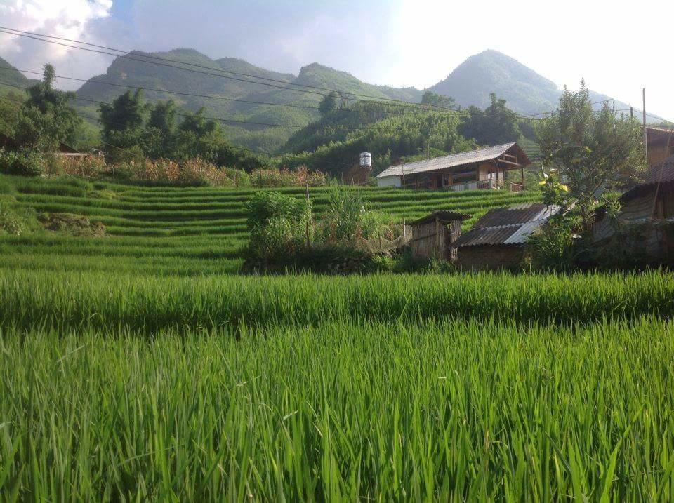 Luckydaisy Buffalo House Sapa Exteriér fotografie